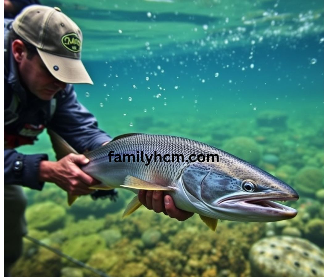 Interior Department RBFF Grant Cancellation