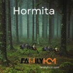 Hormita