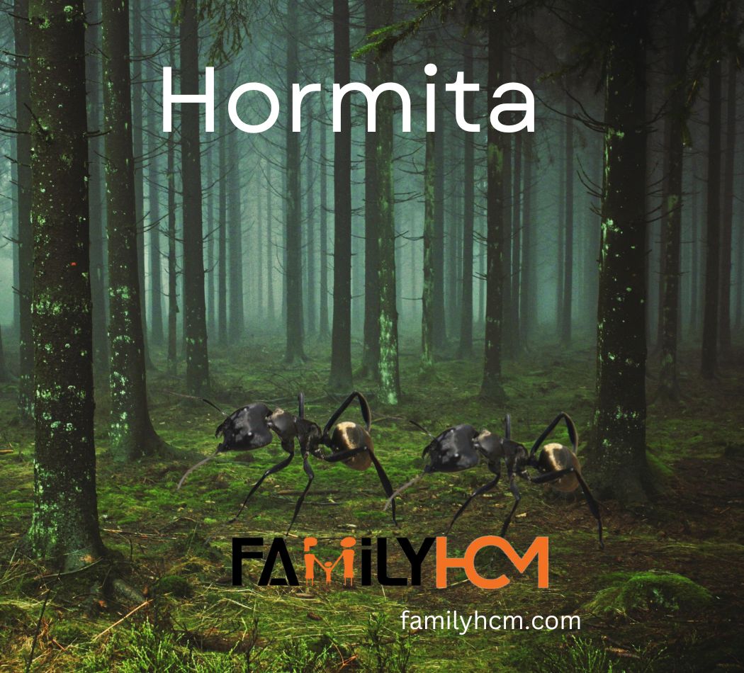 Hormita