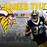 minnesota vikings vs pittsburgh steelers match player stats